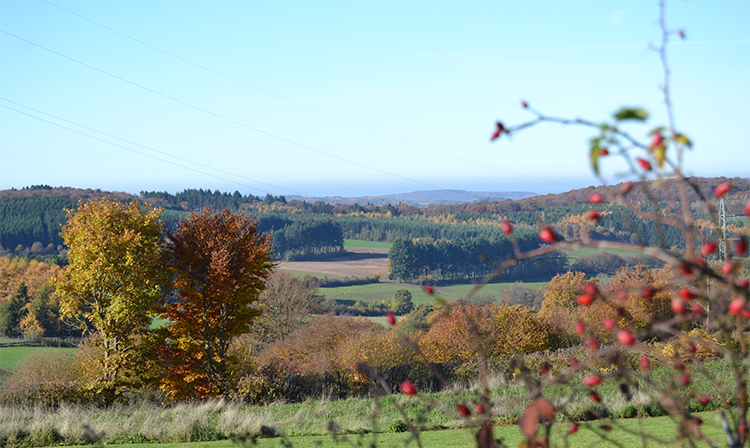 Die Straße der Aussichtspunkte (La route des points de vue) - Nassogne