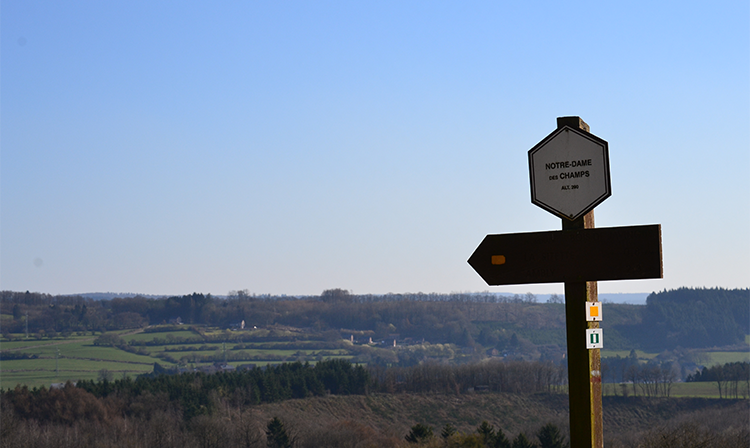 Markierte Wanderwege