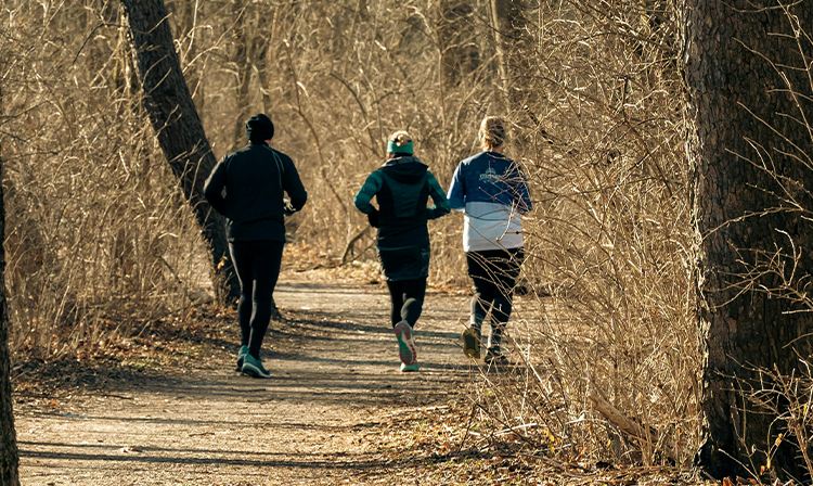 Trails in der Famenne