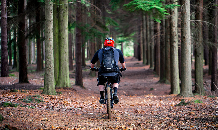 Mountain bike routes
