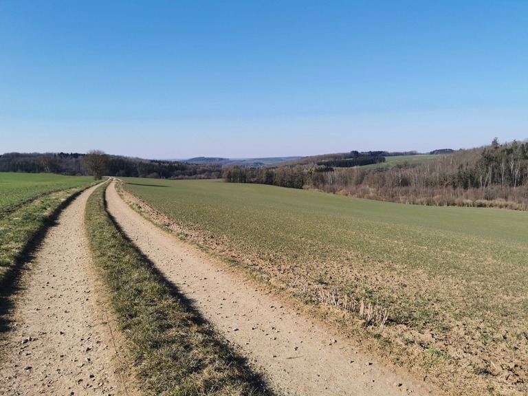 Arrêt vert Entre Famenne et Ardenne