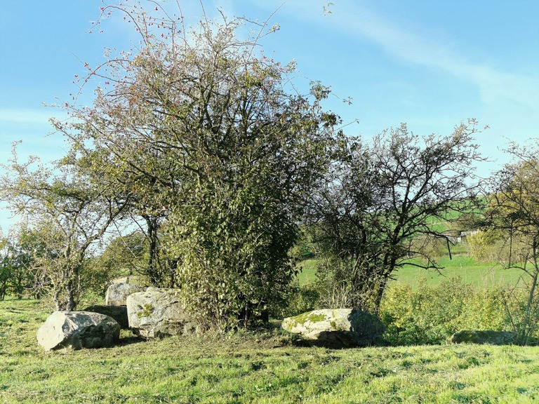 Géobalade Entre Famenne et Ardenne