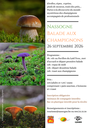 Balade aux champignons