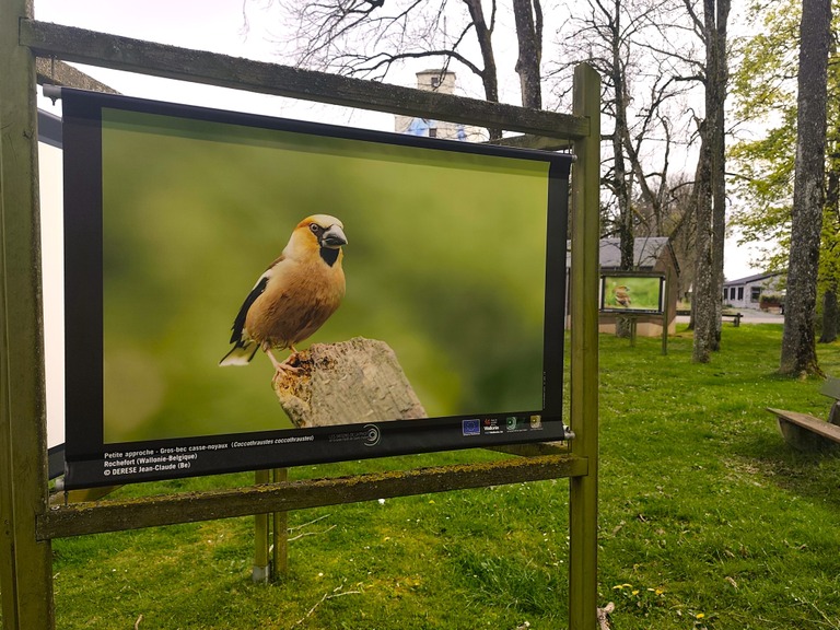 De seizoenen van de fotografie op de fiets