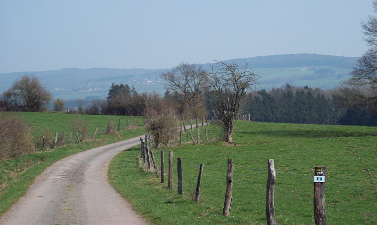 Bewegwijzerde wandelingen
